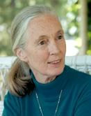 LA VIDA DE JANE GOODALL